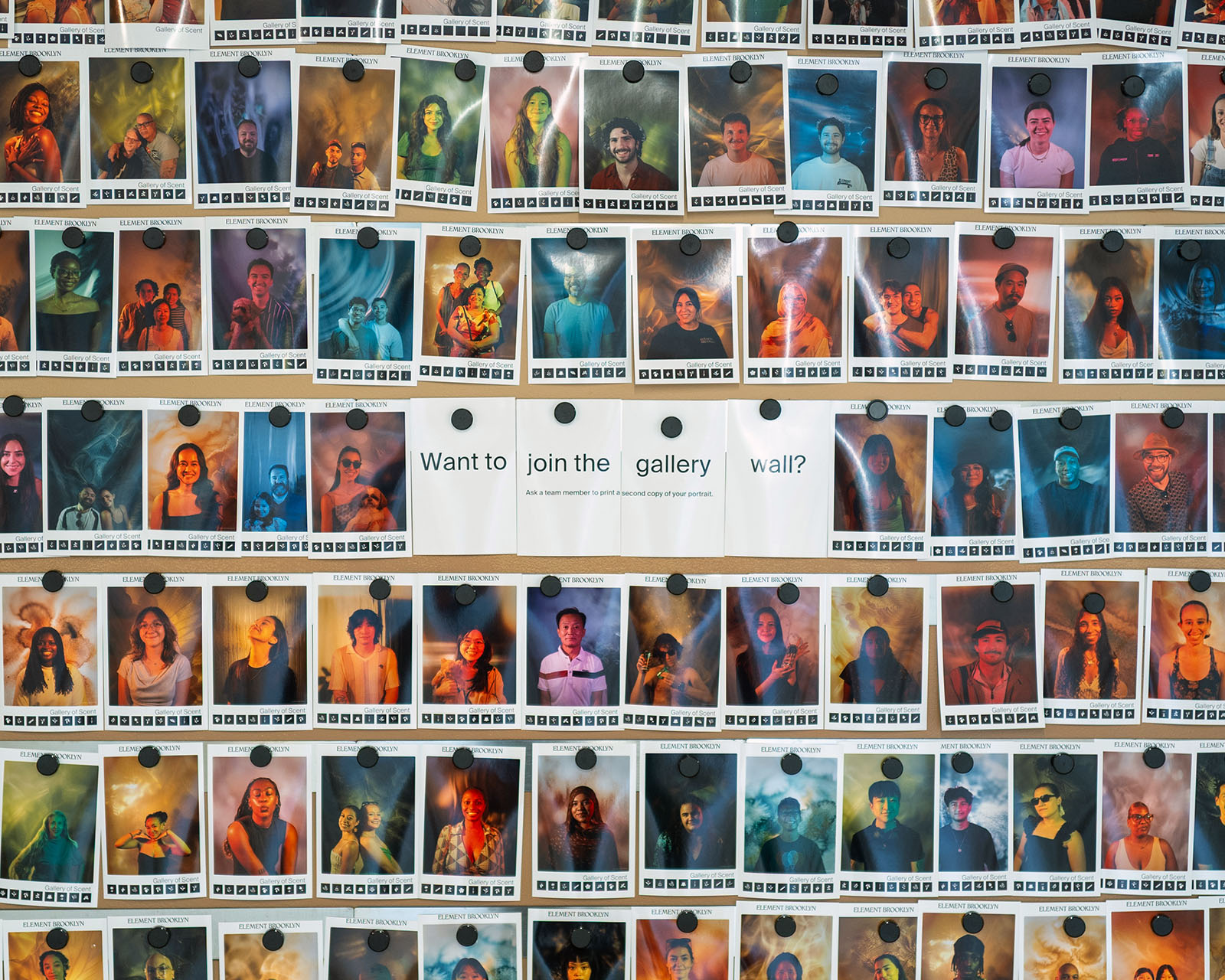 The gallery wall — visitors’ Polaroid scent portraits pinned side by side